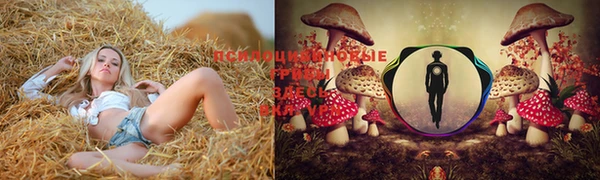 apvp Покачи